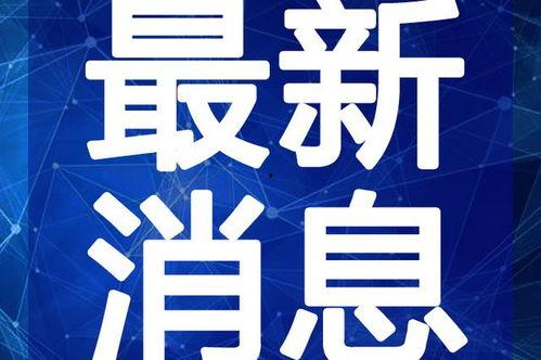 芬迪老婆爆料视频大全最新,揭秘明星夫妻背后的真实生活