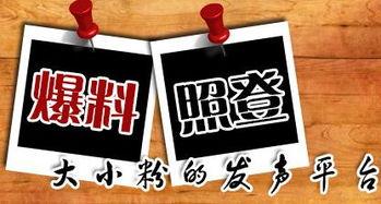 江苏爆料台最新新闻,聚焦民生热点，揭露社会现象