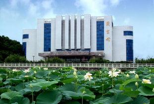 怀化学院爆料新闻事件视频,真相与争议交织的校园风云