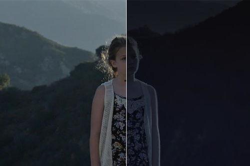 日日拍夜夜拍在线观看