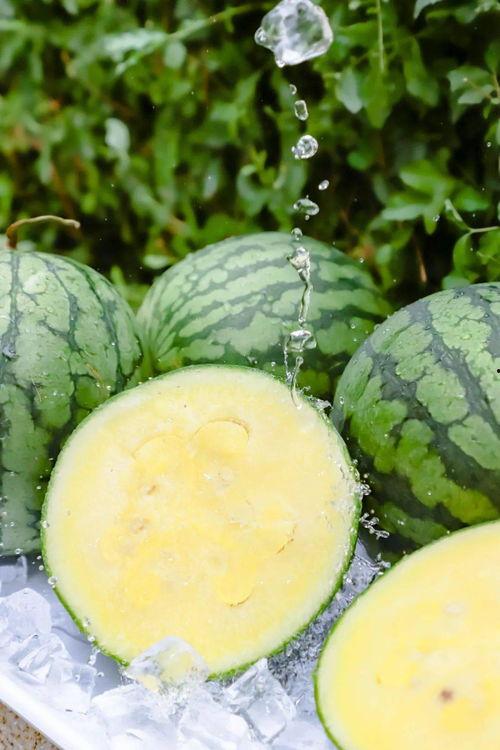 qq吃瓜黄料入口免费吗,QQ吃瓜黄料入口免费真相