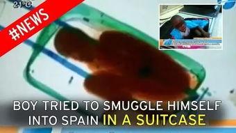 边境偷渡爆料视频播放下载,揭秘非法跨境活动