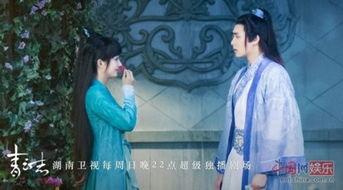 青云志14在线观看