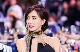 台媒爆料张婷简介视频,张婷简介视频背后的故事