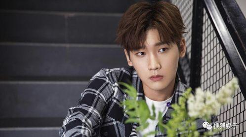 爱豆吃瓜娱乐酱邢昭林,从爱豆到吃瓜娱乐酱的华丽转身